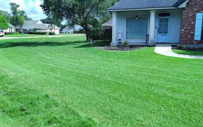 Photo of Timothy S.'s yard after getting lawn care in Douglasville, GA