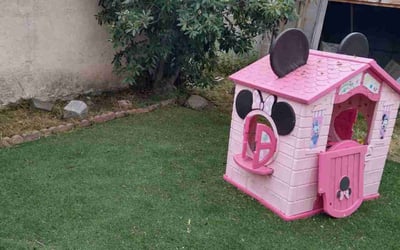 Photo of Lisa N.'s yard after getting lawn care in Reseda, CA
