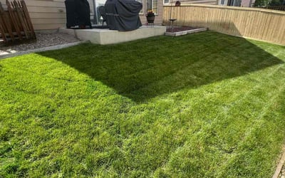 Photo of Elizabeth P.'s yard after getting lawn care in Wheat Ridge, CO