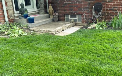 Photo of Kodee D.'s yard after getting lawn care in Newark, OH