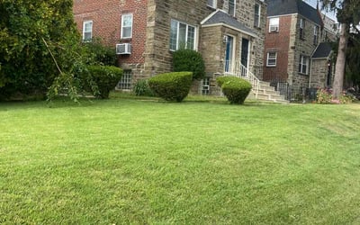 Photo of Thibaut A.'s yard after getting lawn care in Philadelphia, PA