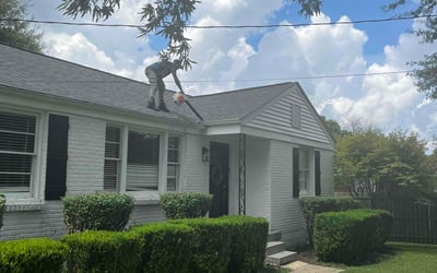 Photo of Ronnie G.'s yard after getting lawn care in Burns, TN