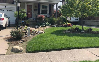 Photo of Edward C.'s yard after getting lawn care in Fayetteville, AR