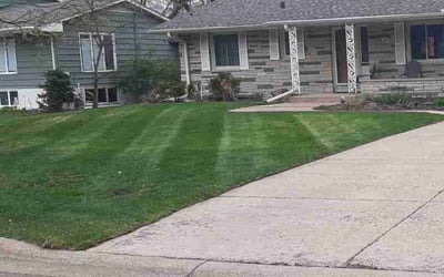 Photo of Terry T.'s yard after getting lawn care in Fridley, MN