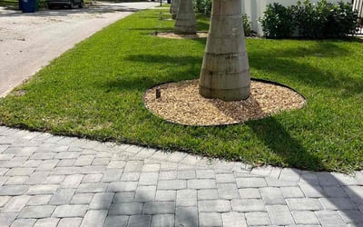 Photo of Robbie P.'s yard after getting lawn care in Havana, FL