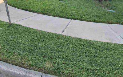 Photo of Becca B.'s yard after getting lawn care in Little Elm, TX