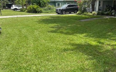Photo of Lindsay A.'s yard after getting lawn care in Commerce City, CO