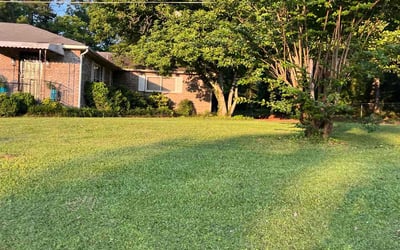 Photo of Sean D.'s yard after getting lawn care in Sun City, AZ