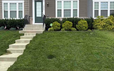 Photo of Marc L.'s yard after getting lawn care in Mauldin, SC