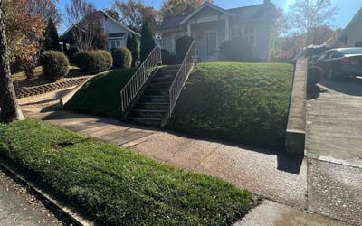 Photo of Kimberly T.'s yard after getting lawn care in Advance, NC