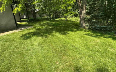 Photo of Lavoris S.'s yard after getting lawn care in Blythewood, SC