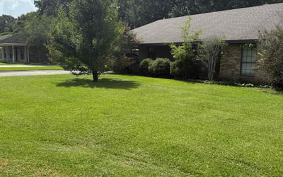 Photo of Carlos R.'s yard after getting lawn care in Abbeville, LA
