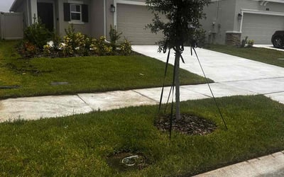 Photo of Tyric M.'s yard after getting lawn care in Eustis, FL