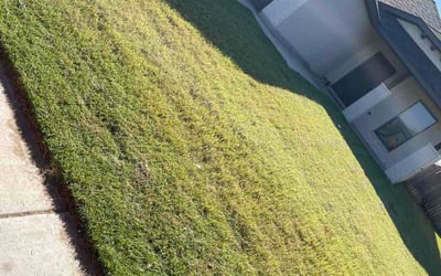 Photo of Sandra C.'s yard after getting lawn care in Conway, AR