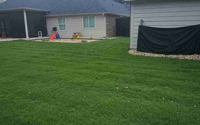 Photo of Tina H.'s yard after getting lawn care in Belton, TX