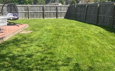Photo of Ilke T.'s yard after getting lawn care in Indianapolis, IN