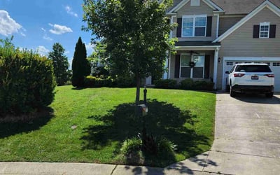 Photo of Jean C.'s yard after getting lawn care in Lafayette, LA