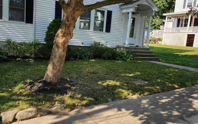 Photo of Ashley W.'s yard after getting lawn care in Amesbury, MA