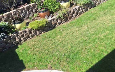 Photo of Bryan S.'s yard after getting lawn care in Camarillo, CA