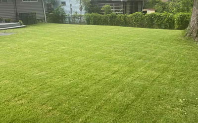 Photo of James B.'s yard after getting lawn care in St. Louis, MO