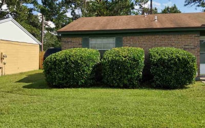 Photo of Nikki E.'s yard after getting lawn care in Jacksonville, FL