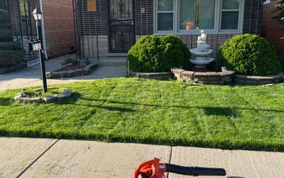 Photo of Carol W.'s yard after getting lawn care in Alsip, IL