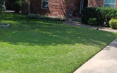 Photo of Mitchell B.'s yard after getting lawn care in Austin, TX
