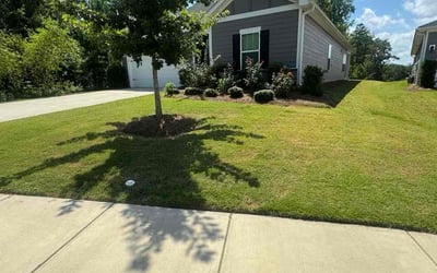 Photo of Barbara S.'s yard after getting lawn care in Clover, SC