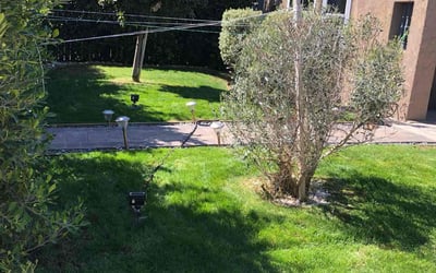 Photo of Shanequa S.'s yard after getting lawn care in Panorama City, CA