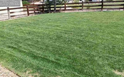 Photo of Gregg F.'s yard after getting lawn care in Monument, CO