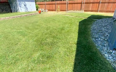 Photo of William B.'s yard after getting lawn care in Rex, GA