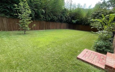 Photo of Carvin M.'s yard after getting lawn care in Birmingham, AL