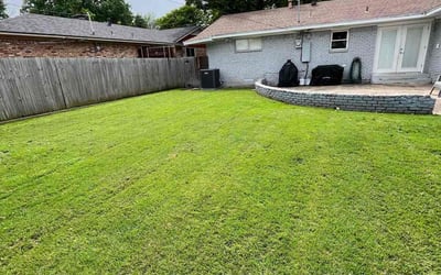 Photo of Lu B.'s yard after getting lawn care in San Tan Valley, AZ