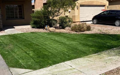 Photo of Dean M.'s yard after getting lawn care in Sun City, AZ