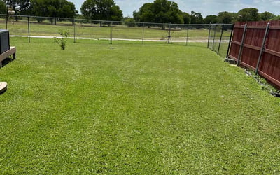 Photo of Karlya G.'s yard after getting lawn care in Seguin, TX