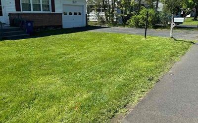 Photo of Patricia L.'s yard after getting lawn care in Cohoes, NY