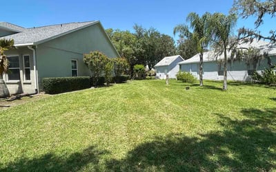 Photo of Lazarus H.'s yard after getting lawn care in Sebastopol, CA