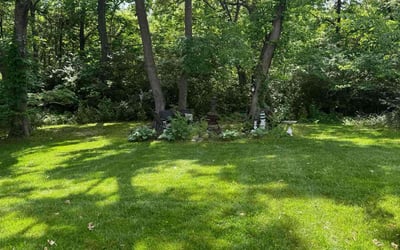 Photo of Darryl G.'s yard after getting lawn care in Scranton, PA