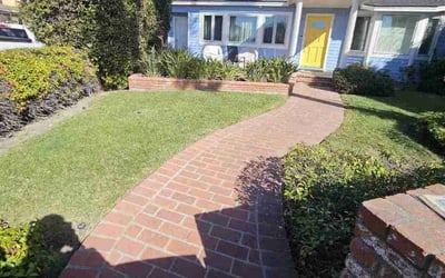 Photo of Joe C.'s yard after getting lawn care in Long Beach, CA