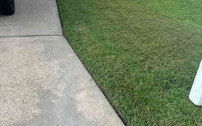 Photo of Brandt J.'s yard after getting lawn care in Springfield, TN