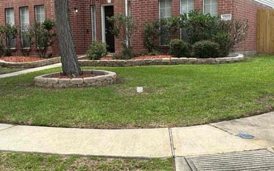 Photo of Jesse G.'s yard after getting lawn care in Orlando, FL