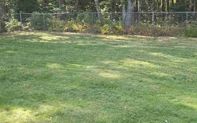 Photo of Briana A.'s yard after getting lawn care in Kennebunk, ME