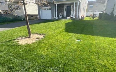 Photo of Laura M.'s yard after getting lawn care in Newton, NJ