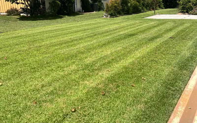 Photo of Matthew F.'s yard after getting lawn care in Belle Glade, FL