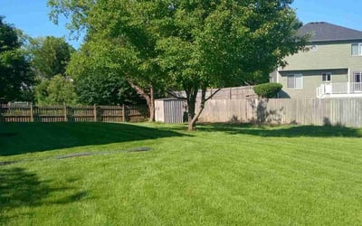 Photo of Jesse R.'s yard after getting lawn care in Bolingbrook, IL