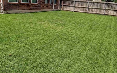 Photo of Vickie S.'s yard after getting lawn care in Fort Worth, TX