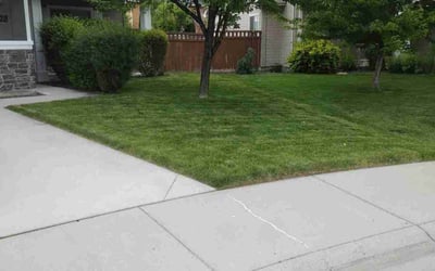 Photo of Mike B.'s yard after getting lawn care in Coeur D Alene, ID