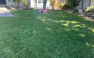 Photo of Dakota S.'s yard after getting lawn care in Pittsburg, CA