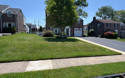 Photo of Steven C.'s yard after getting lawn care in Drexel Hill, PA