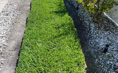 Photo of Tyon C.'s yard after getting lawn care in Lompoc, CA